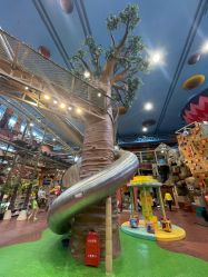 -卡通尼·Safari非洲探索乐园·生日会(金桥国际商业广场店)