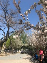 -大望京儿童游乐场