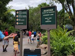 -奥兰多迪士尼动物王国乐园