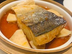 -甄御•海鲜新青岛菜(麦岛店)