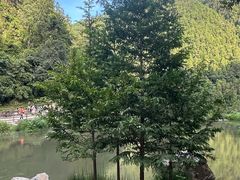 -刘伯温故里景区百丈漈