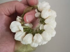 -CHIC1699远洋私厨