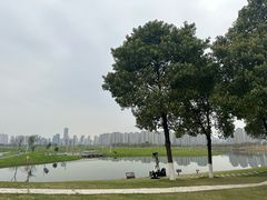-洋湖国家湿地公园