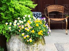 -回龙窝历史文化街区