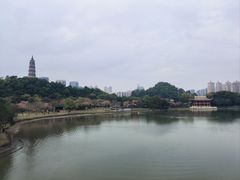 -顺峰山公园