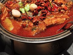 -辣尚瘾·烤鱼·新川菜(牡丹园直营店)