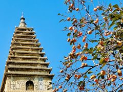 -北京石刻艺术博物馆(五塔寺)