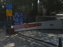 -大中华希尔顿酒店-念自助餐·嗨啤·小龙虾