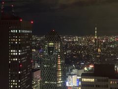 -东京都厅舍