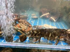 -和源祥·日照菜扛把子(万平口一店)