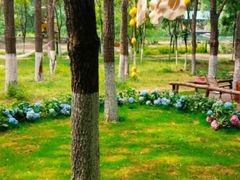 -长白岛森林公园