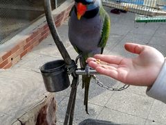 android_upload_pic-迎泽公园