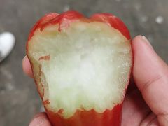 -三亚新鸿港水果一级批发市场