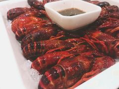 -不炭白烧烤(成都首店)