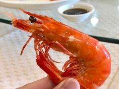 白灼九节虾-海龙渔村(万江分店)