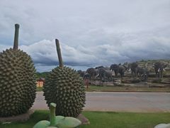 -东芭乐园