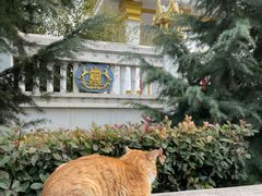 -洛阳白马寺