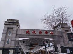 -武汉关码头(轮渡站)