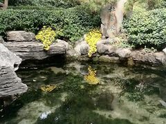 -趵突泉景区
