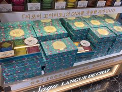 -中部国际机场