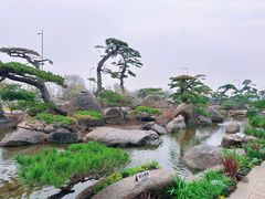 -罗红摄影艺术馆