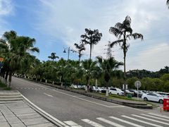 -重庆海昌加勒比海水世界