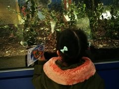 -上海昆虫博物馆