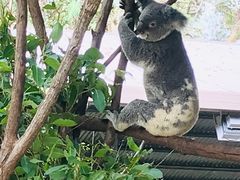 -可伦宾野生动物保护区