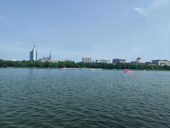 -莲花池公园