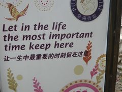 -紫海香堤香草艺术庄园