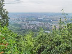 -杭州半山国家森林公园