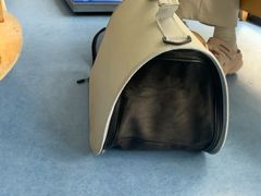 -博特宠物医院24h犬猫全科.骨科·异宠