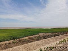 -南汇嘴观海公园