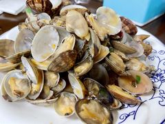 辣炒蛤蜊-公寓家常菜馆(海军博物馆店)