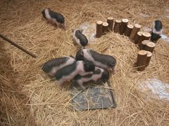 android_upload_pic-远洋未来广场(育慧北路店)