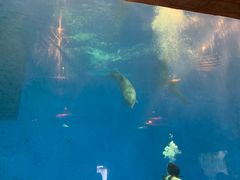 -华夏文旅海洋公园