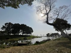 -滆湖低碳生态公园