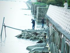 -贡湖湾湿地公园
