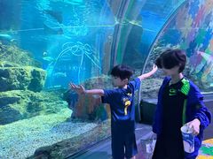 -暹罗海洋世界