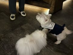 -兮禾酒馆(护国路店)