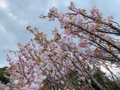 -观澜湖生态运动公社