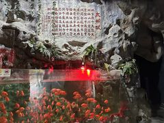 -苏州海洋馆