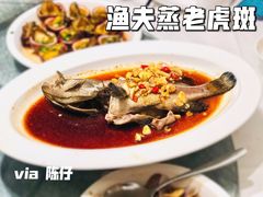 渔夫蒸老虎斑-79号渔船海鲜饭店(宝安店)