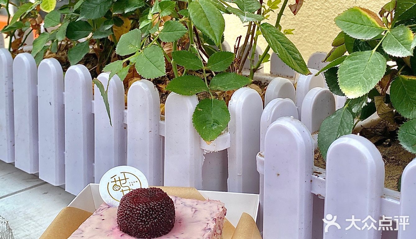 大连这家藏在小巷里的甜品店🍮也太好拍了📷