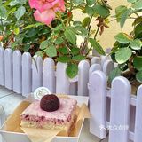 大连这家藏在小巷里的甜品店🍮也太好拍了📷