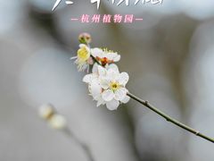 -杭州植物园