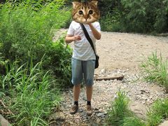 -碓臼峪自然风景区