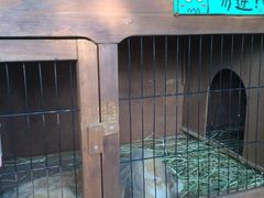 iphone_upload_pic-海边的猫和咖啡馆
