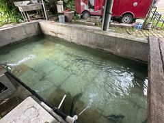 -北京龙庆四季香农家饭庄·灶台鱼·碳烤虹鳟鱼(龙庆峡店)