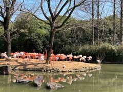 -上海野生动物园